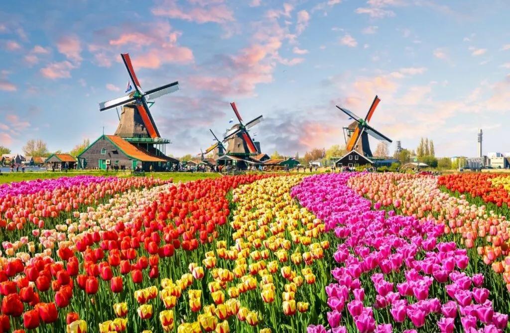 Private airport transfer from Amsterdam to surrounding areas