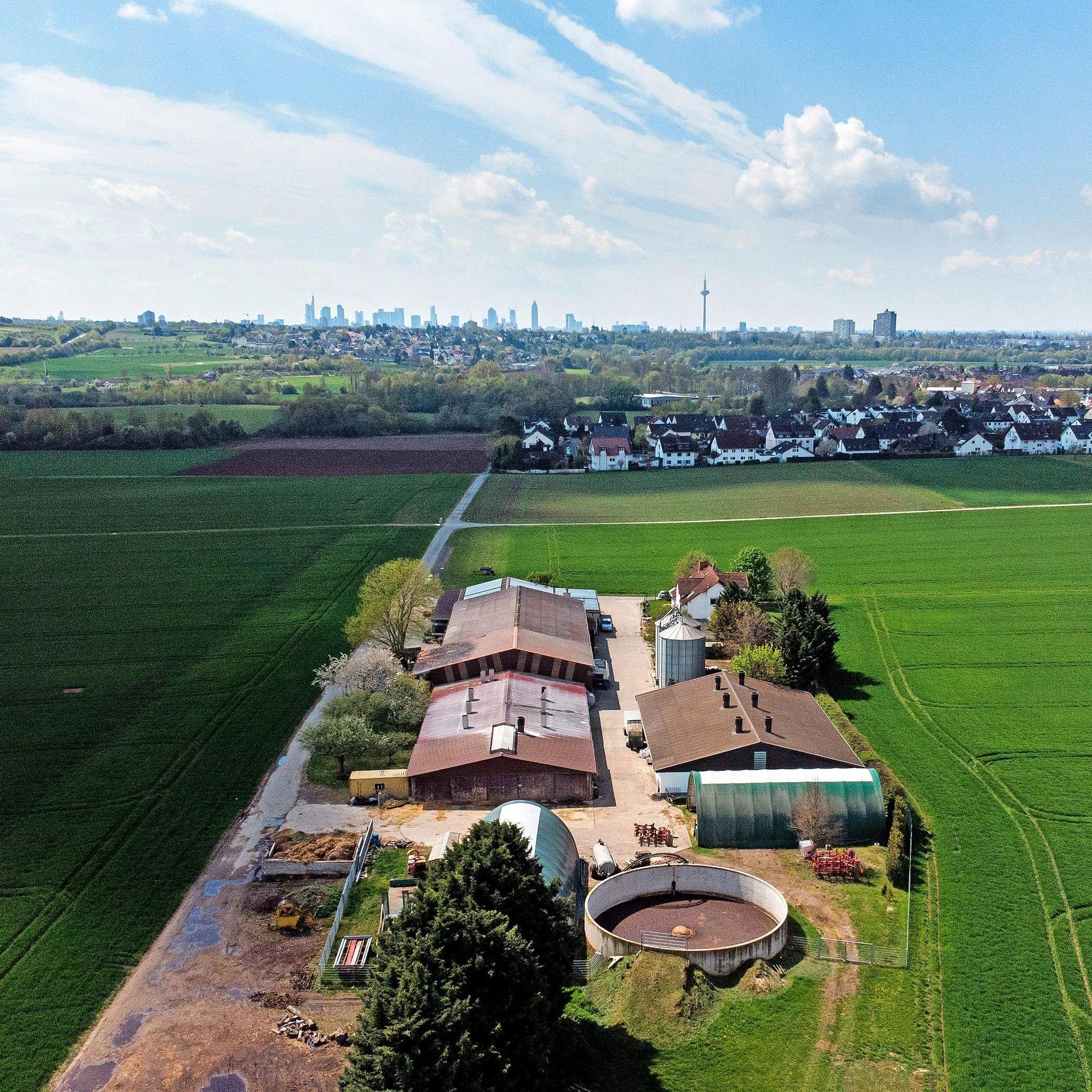 Private airport transfer from Frankfurt to surrounding areas